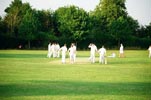 Cuddington Field of Dreams