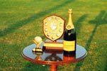 The Prizes