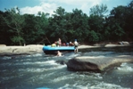 ...stuck on a rock... hilarious spectator sport