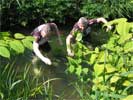 Day 10 - River Hayle