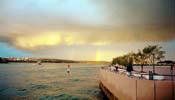 There's a storm brewing…the Lions reach Sydney Harbour