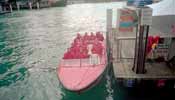 The Red Army make an unopposed amphibious landing in Sydney Harbour