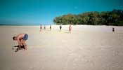 Regular touch sessions in Shark Bay Stadium