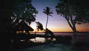 Paradise by night