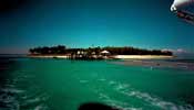 Drying-Out Clinic - Heron Island, home for four days - wow