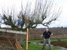 ...while the boys chop down the tree...