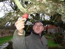...and Joe picks apples