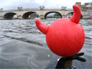 Last day... Kingston Bridge...